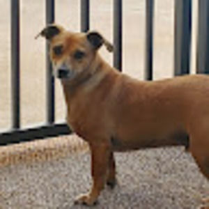 Meet your Posher, Rachael f